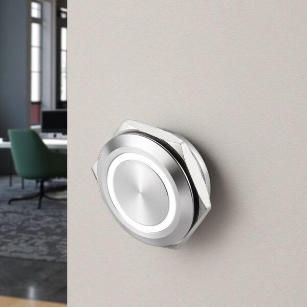 Langir 12V IP67 Waterproof Stainless Steel Illuminated Button Switch 1NO Momentary NO Ring Aluminum Brass Electronic Plastic NO - 이미지 2